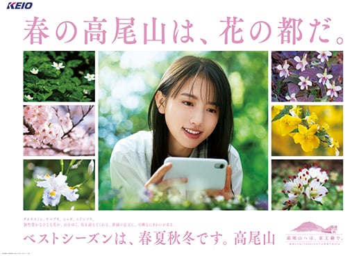 春の高尾山は、花の都だ。
