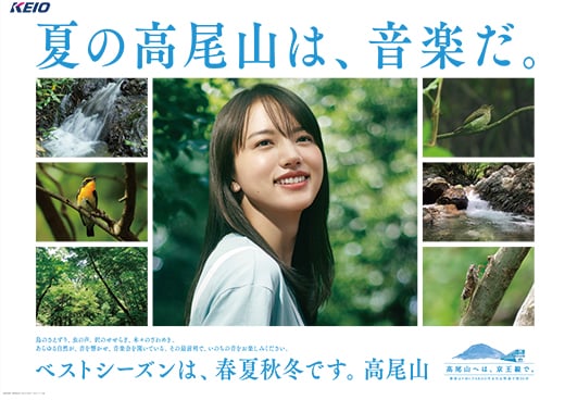夏の高尾山は、音楽だ。