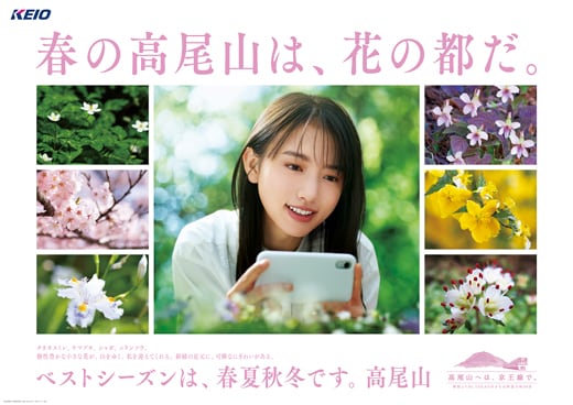 春の高尾山は、花の都だ。