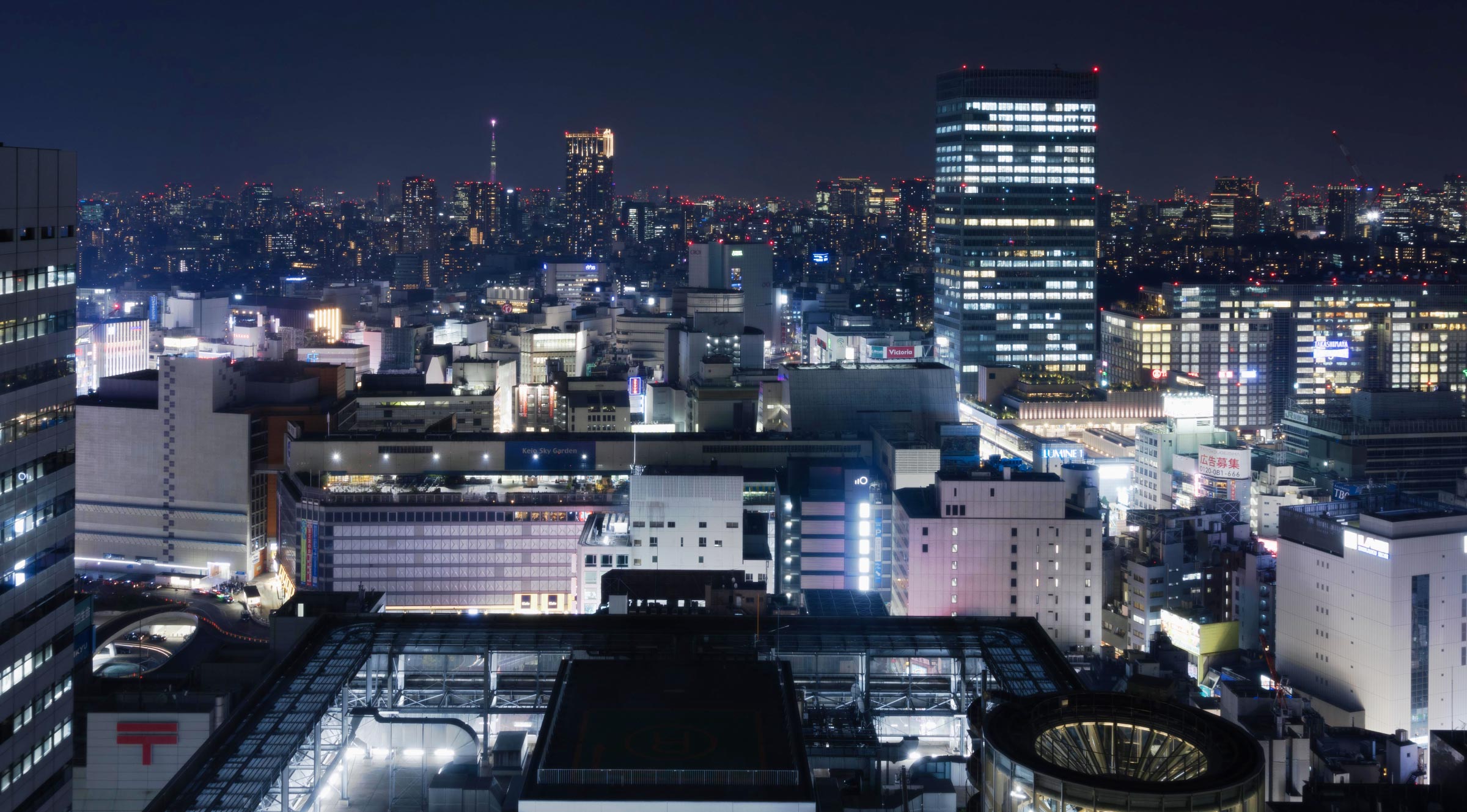 京王プラザホテルからの夜景の写真