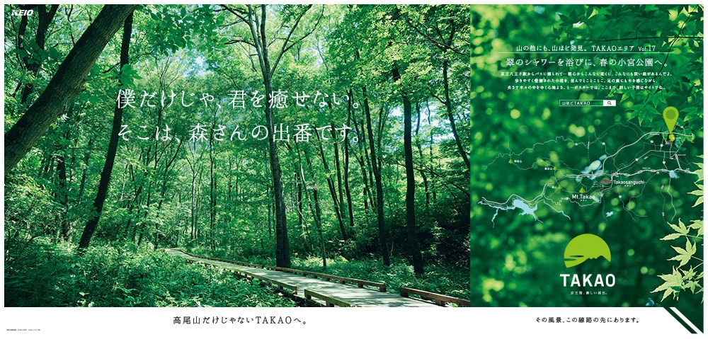 翠のシャワーを浴びに、春の小宮公園へ。