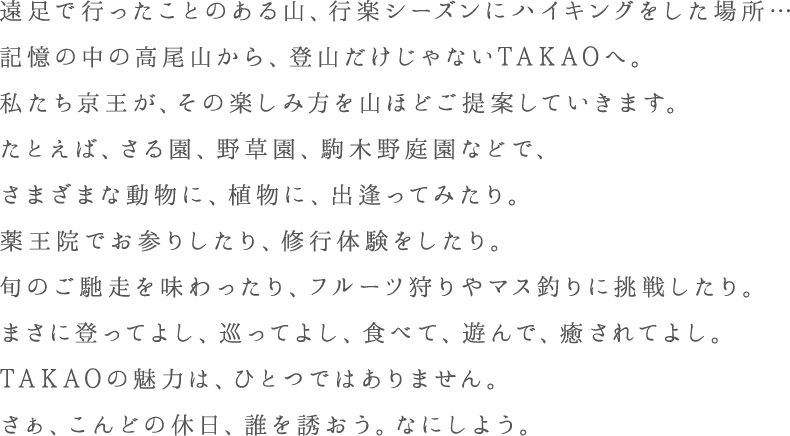 遠足で行ったことのある山、行楽シーズンにハイキングをした場所…記憶の中の高尾山から、登山だけじゃないTAKAOへ。私たち京王が、その楽しみ方を山ほどご提案していきます。たとえば、さる園、野草園、駒木野庭園などで、さまざまな動物に、植物に、出逢ってみたり。薬王院でお参りしたり、修行体験をしたり。旬のご馳走を味わったり、フルーツ狩りやマス釣りに挑戦したり。まさに登ってよし、巡ってよし、食べて、遊んで、癒されてよし。TAKAOの魅力は、ひとつではありません。さぁ、こんどの休日、誰を誘おう。なにしよう。