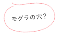 なんか急に開けたぞ？