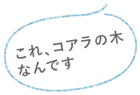 さて、どっちに行くべきか、、