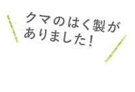 なんか急に開けたぞ？