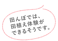 なんか急に開けたぞ？