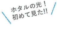 さて、どっちに行くべきか、、