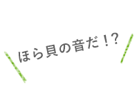 ほら貝の音だ！？