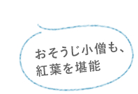 おそうじ小僧も、紅葉を堪能