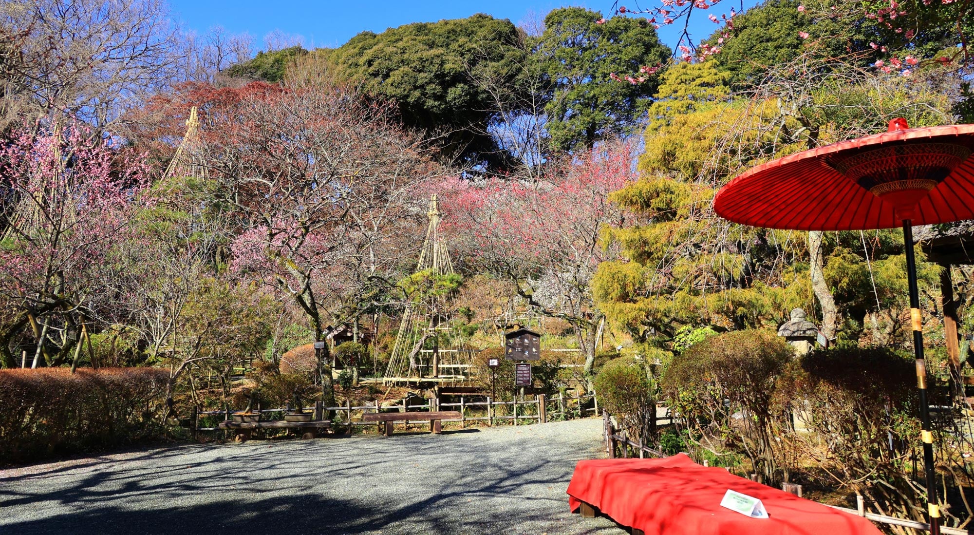 京王ロケーションサービス｜京王百草園-写真