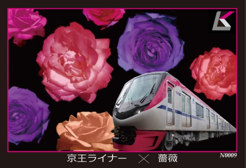 京王ライナー×薔薇